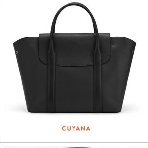 Cuyana Trapeze Satchel